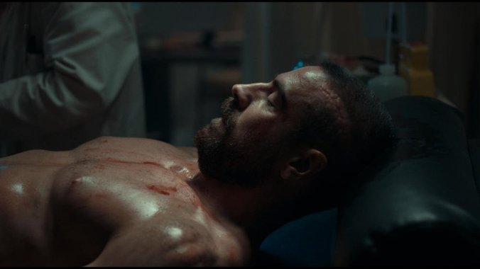 51T+0XgXfLL._SL1000_